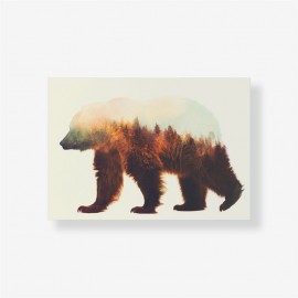 Медвед